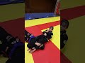 Armbar from Guard pull / 引き込みからの腕十字 #柔術 #ブラジリアン柔術 #柔術女子 #格闘技 #格闘技女子 #jiujitsu #BJJ #関節技
