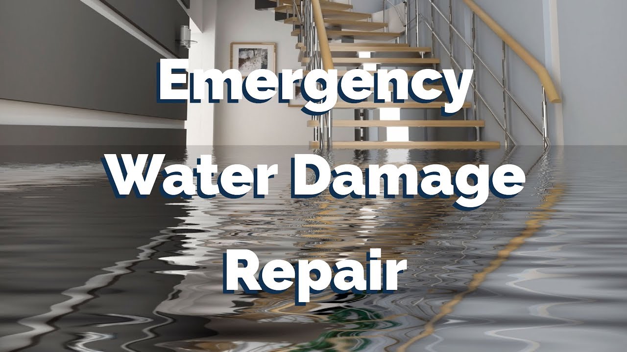 Emergency Water Damage Restoration Long Island: 24/7 Response Guide ...