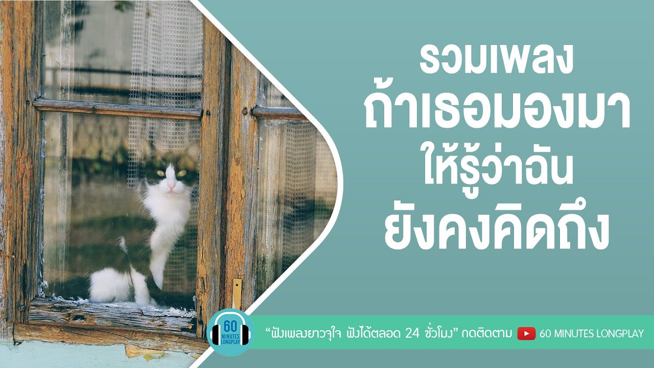 รวมเพลง ถ้าเธอมองมา ให้รู้ว่าฉันยังคงคิดถึง lอดทนกับความเหงา,สิ่งสำคัญl [LOSO,Endorphine]【LONGPLAY】