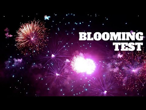 4K Blooming Test - See If Your TV Has Ghosting