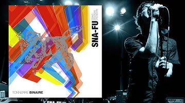 SNA-FU GRAND DESORDRE ORCHESTRE - THE WHITE JOURNEY