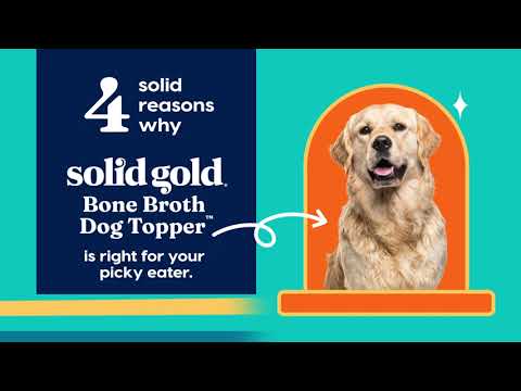 Solid Gold 4 Solid Reasons Why Bone Broth Dog Topper Is Right For Your Picky Eater