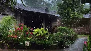 Rain sounds for sleeping  Rain sounds for relaxation   Heavy rain for relaxation = Sleep therapy