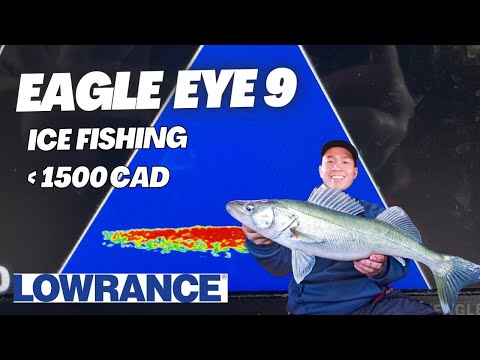 does ice fishing game pay real money