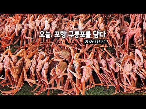 오늘, 포항 구룡포를 담다 2026.03.31