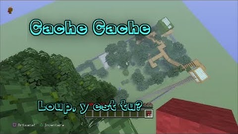 Cache Cache sur Minecraft, trouve moi si tu peux (Ps3)
