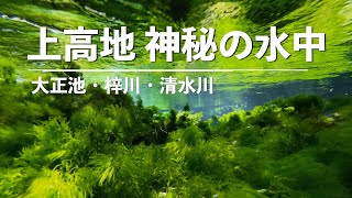 【4K】上高地 神秘の水中映像 大正池・梓川・清水川 (Shot on iPhone 12 Pro Max)