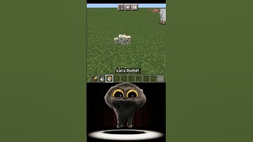 Minecraft Turtle Egg Logic 🙂 #shorts