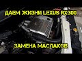 Lexus RX 300 замена маслосъемных колпачков