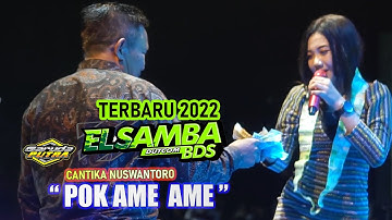 Elsamba cantika nuswantoro pok ame ame  (HUTANG ) FULL SAWER | live wringinanom gresik