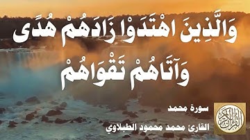 047 محمد محمود الطبلاوي - سورة محمد