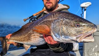 Fly Fishing Schools of North Carolina Redfish