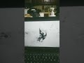 yes @ConM13 i did it. I MADE A 2017 computer
