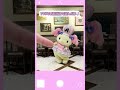 一緒に遊ぼう♪#アズキ【公式】