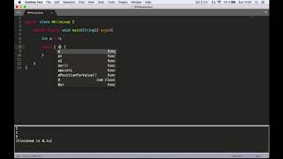 14 - The While Loop
