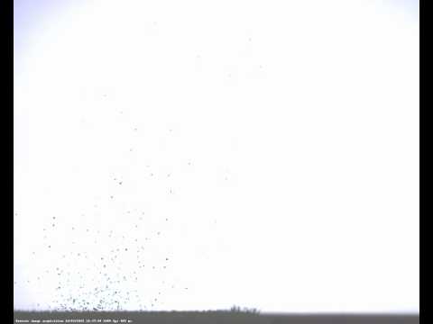 Low Splash sample