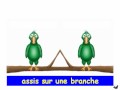 Deux petits oiseaux