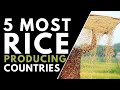 Top 5 Most Rice Producing Countries In The World