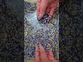 Extremes Kribbeln | Ultra Tingles #triggersforsleep #backgroundasmr #asmr #asmrnotalking #satisfying
