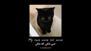                                بدون موسيقى            - اسمعها