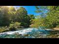 Soft Calm River ASMR 🌊 Pure Water Sounds – No Rain No Music for Sleep &amp; Relax
