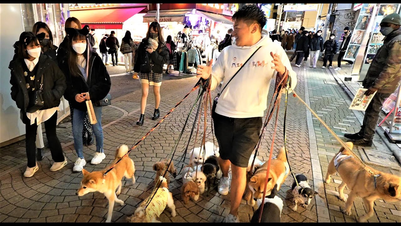 Catching Everyone's Eye In Tokyo Kawaii Town, (ENG CC)