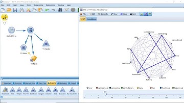 Market Basket Analysis for Grocers using IBM SPSS