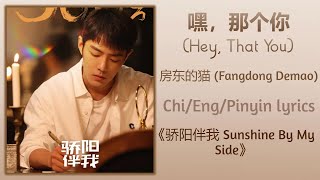 嘿, 那个你 (Hey, That You) - 房东的猫 (Fangdong Demao)《骄阳伴我 Sunshine By My Side》Chi/Eng/Pinyin lyrics