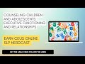 Counseling Children and Adolescents: Executive Functioning and Relationships