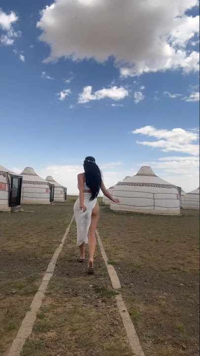 One night in Ger(Mongolia)