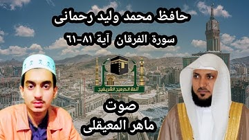 تلاوة سورة الفرقان آية ٨١-٦١||بصوت جميل حافظ محمد ولید رحمانی|| تلاوة بصوت الشیخ ماهر المعيقلي
