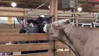 Come to the 2013 Wisconsin State Fair