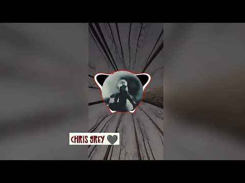 Chris Grey Dangerous Game