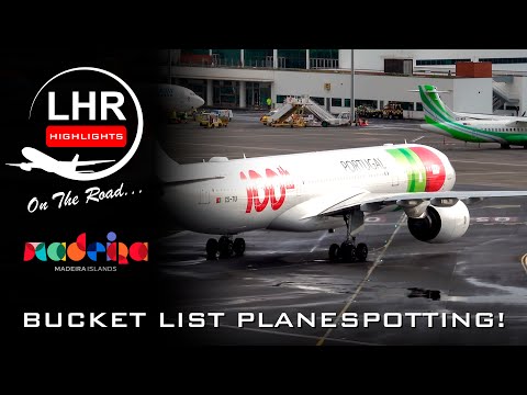 ✈️ Plane Spotting | Madeira Highlights #planespotting #aviation