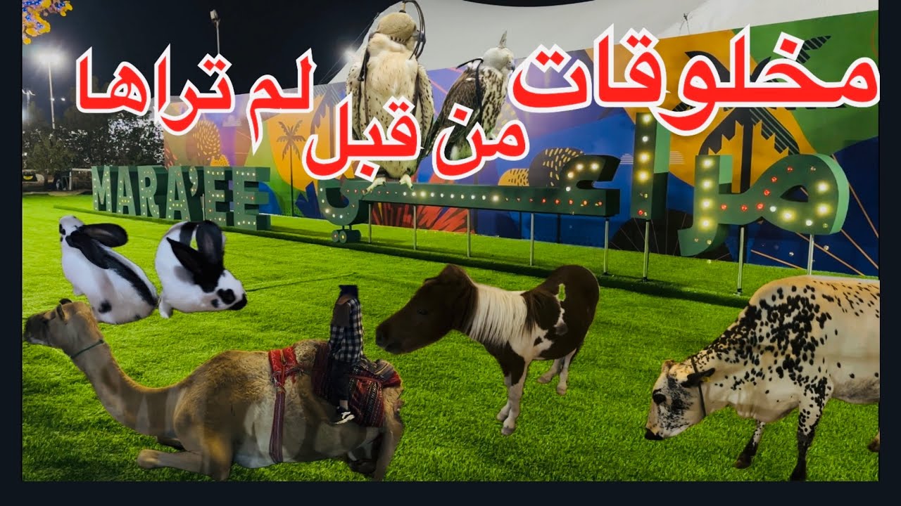 مخلوقات لأول مرة تشوفها مراعي البحرين ديسمبر2025 🇧🇭 Maraee Bahrain  اكبر تجمع حيواني 