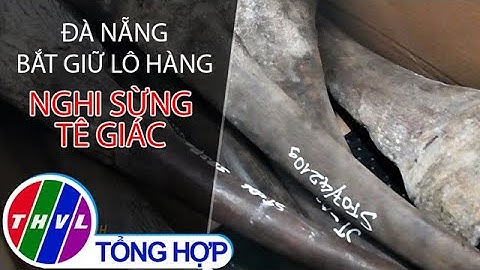 Đà Nẵng bắt giữ lô hàng nghi sừng tê giác