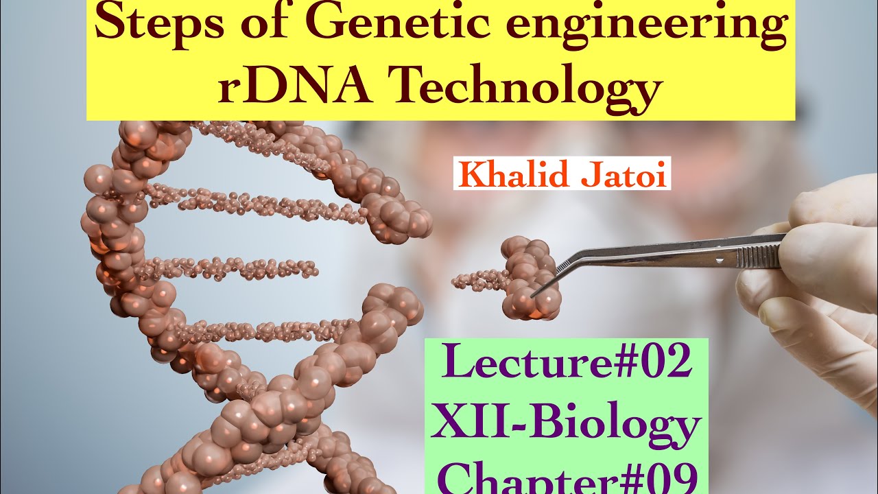 Genetic Engineering | rDNA technology | Steps of Genetic engineering or ...