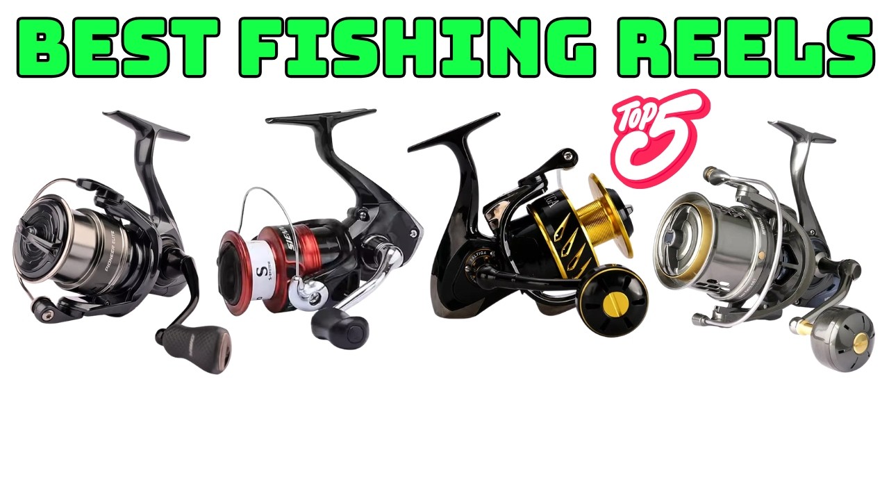 Top 5 Best Fishing Reels In 2026 | Affordable Fishing Reels