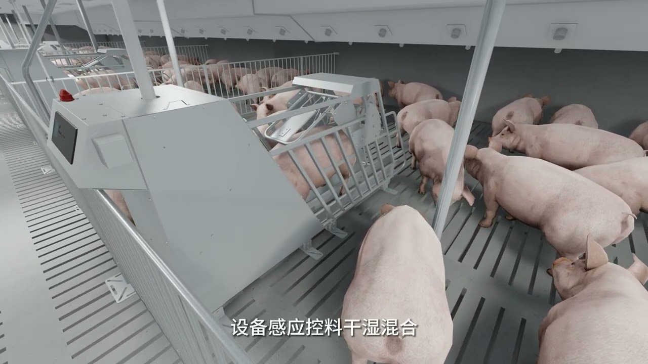 Intelligent Feeding System for Small Group Sows 🐖✨
