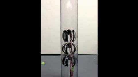 Earthworm Like Robot Climbing
