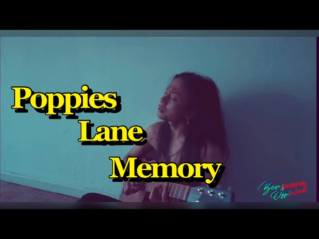 SLANK - POPPIES LANE MEMORY |COVER| class=