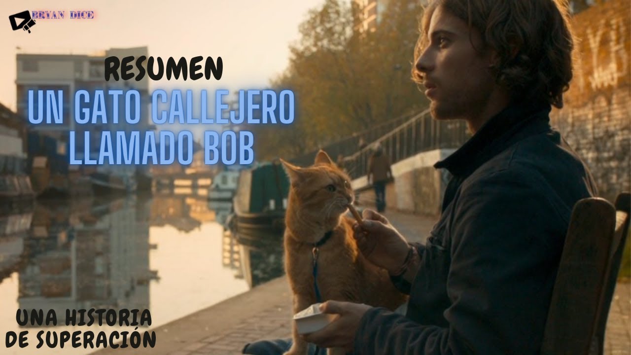 UN GATO CALLEJERO LLAMADO BOB (A STREET CAT NAMED BOB)