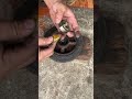 Lubricate with grease every time before installation.#mechanic #piston #maintenance #repairnance