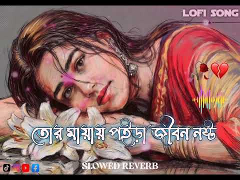 তোর মায়ায় পড়ে জীবন নষ্ট 💔🥀😔 তুইতো অভিনয়ে শ্রেষ্ঠ, কেন দিলি  Tok viral music song Lofi song 2026 