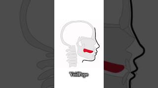 Before And After Mewing