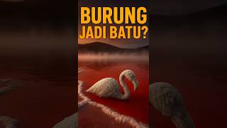 Danau yang Mengubah Burung Jadi Batu?! 😱 | Misteri Ilmiah Danau Natron #lakenatron