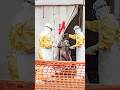 Ebola Travel Bans Are 'Overkill,' Scientist Says