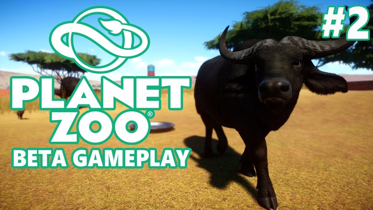 Animals edition. Planet Zoo African Buffalo. Animal Planet Mod Deluxe Edition animals. Planet Zoo Wild Water Buffalo. Planet Zoo вид сверху.