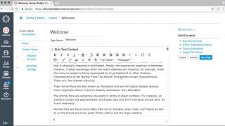 Canvas E portfolio tutorial