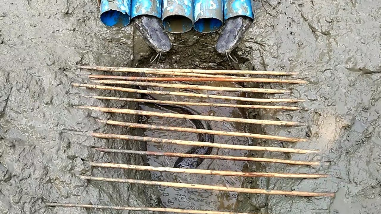 Amazing Muddy soil Hole Trap – Smart Man Creating Unique Fish Trap System by Muddy Soil in Cambodia